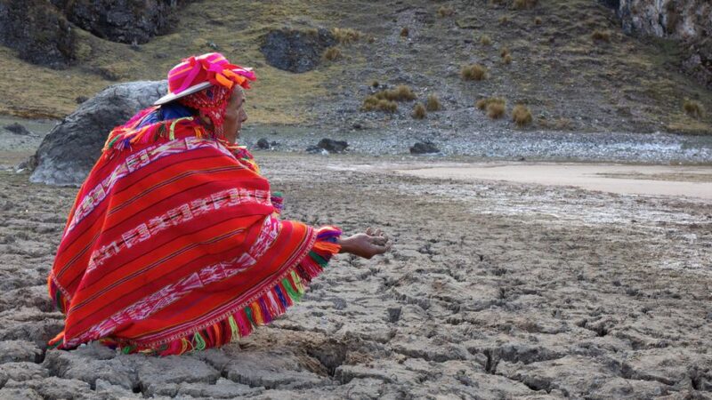 Perú: las reformas de la legislación forestal amenazan la supervivencia de los pueblos indígenas, advierte experto de la ONU