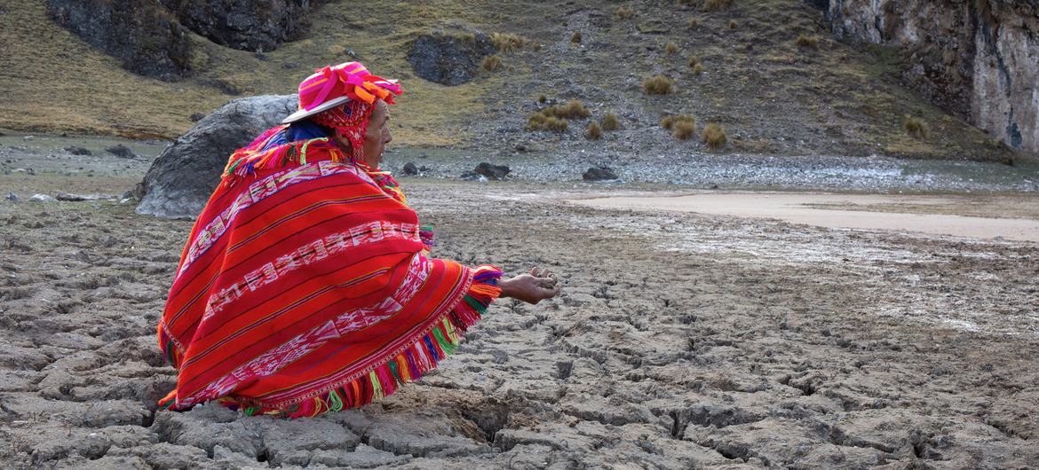 Perú: las reformas de la legislación forestal amenazan la supervivencia de los pueblos indígenas, advierte experto de la ONU