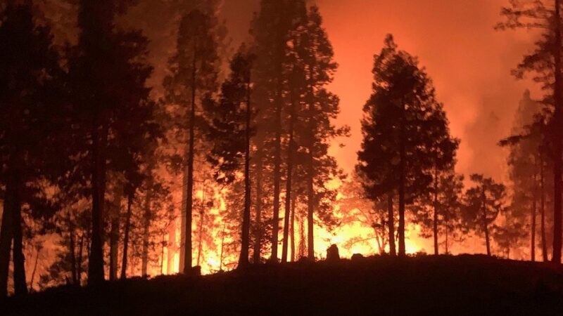 El rol de las comunidades indígenas para controlar los incendios forestales es fundamental