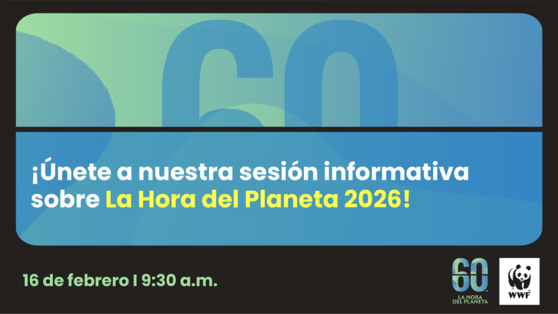 La Hora del Planeta 2026: ¡Únete a la sesión informativa este lunes 16/02!