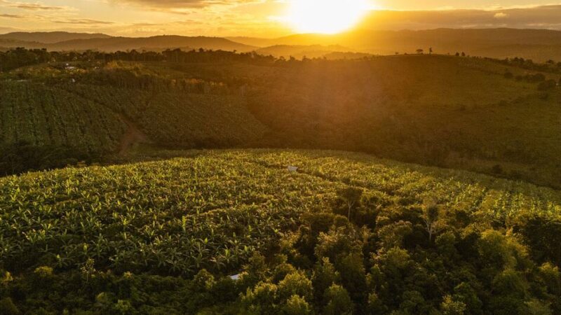 Bienvenidos al agrovecindario, ¿un modelo urbano del futuro?