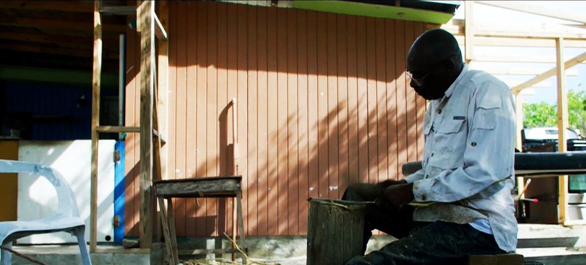La cascarilla de Bahamas: una planta amarga endulza la vida de una isla olvidada