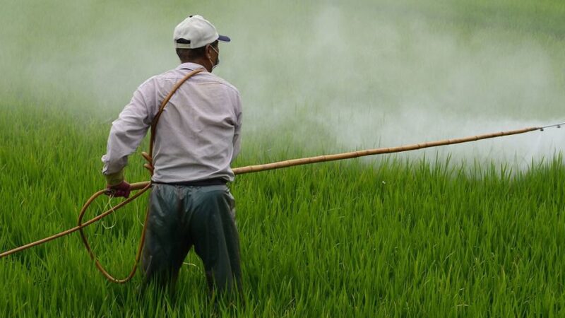 Experto denuncia la injusticia ambiental en México