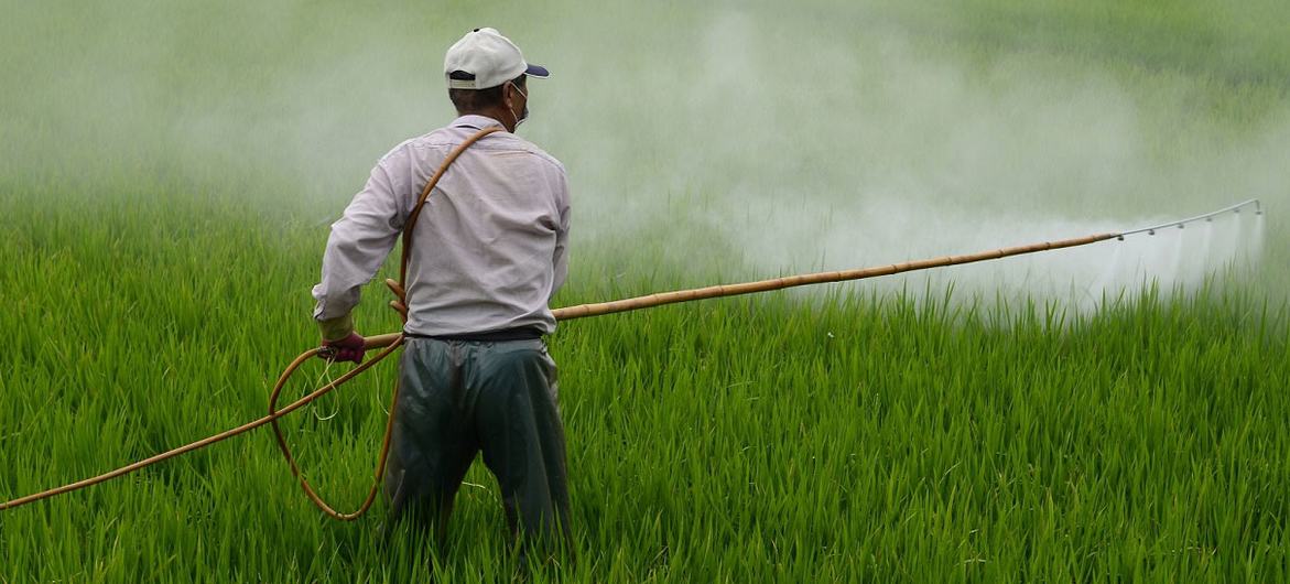 Experto denuncia la injusticia ambiental en México