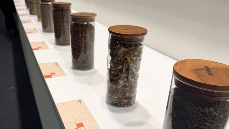 Por qué las plantas medicinales importan en el Día Mundial de la Vida Silvestre