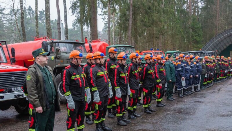 Los bosques son más que un recurso: cómo Bielorrusia protege este ecosistema vital