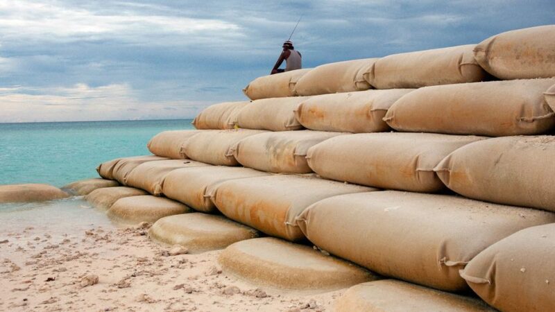 Necesitamos la arena para construir, pero también para amortiguar el cambio climático