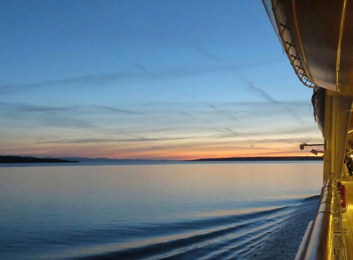OMS: El brote de Hantavirus en un crucero es un “evento grave pero contenido”