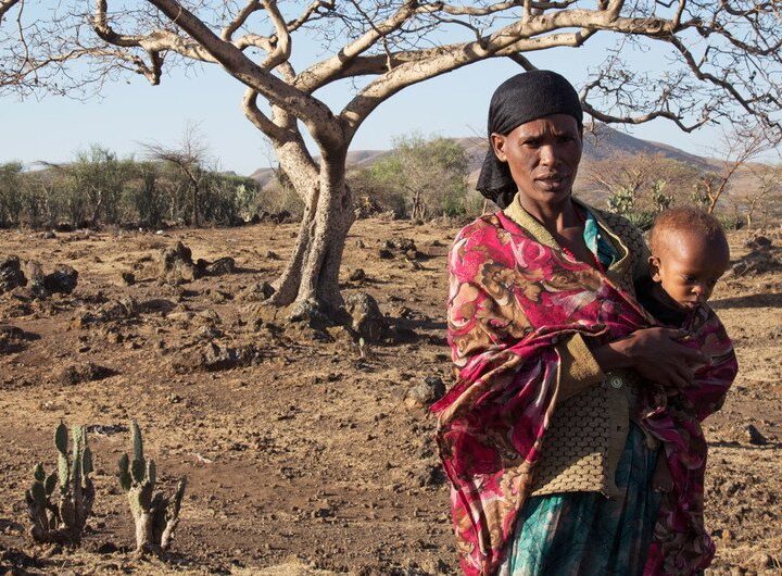 La OMM confirma a un 80% la aparición de El Niño, que provocará fenómenos meteorológicos más extremos