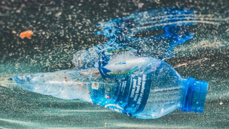 Cinco cosas que necesitas saber sobre los plásticos en los océanos