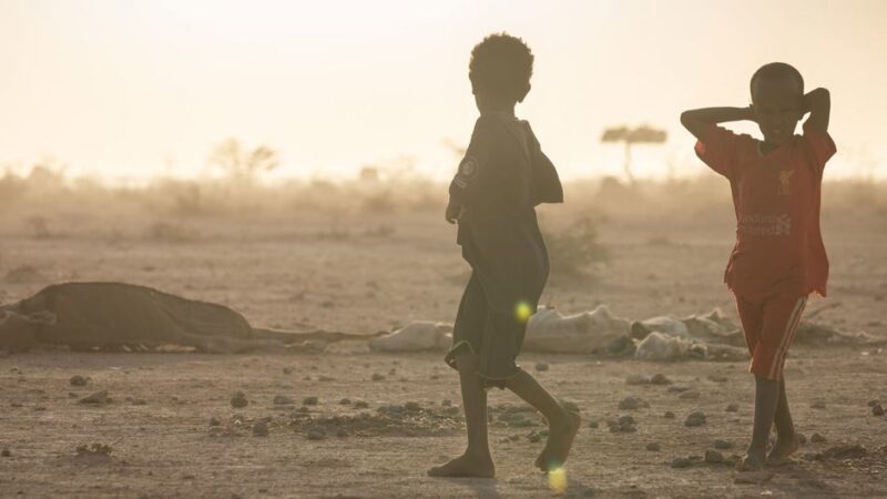 La mitad de los niños del mundo vive bajo múltiples amenazas climáticas