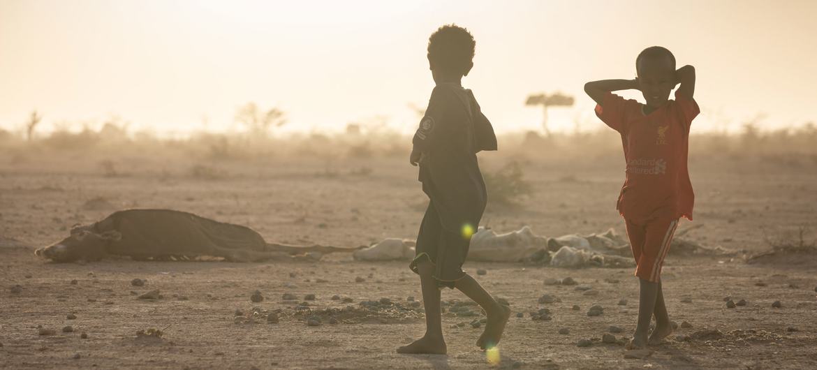 La mitad de los niños del mundo vive bajo múltiples amenazas climáticas