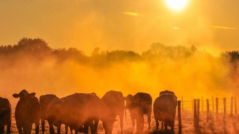 El Niño se fortalece y eleva el riesgo de calor extremo y sequías en América Latina