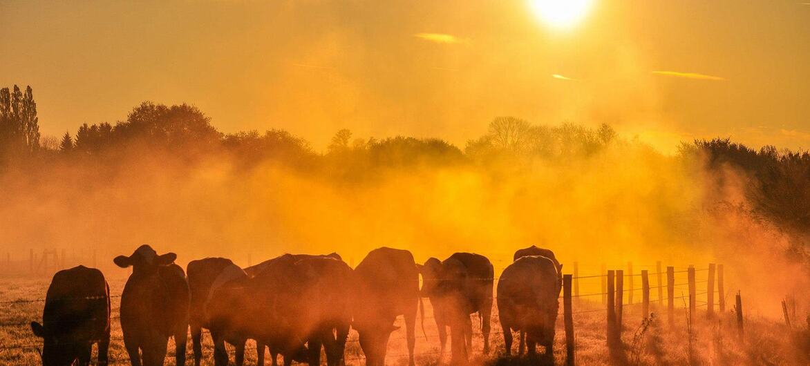 El Niño se fortalece y eleva el riesgo de calor extremo y sequías en América Latina