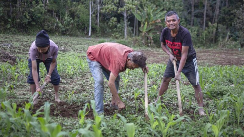 41 países necesitan ayuda alimentaria externa por conflictos y crisis climáticas