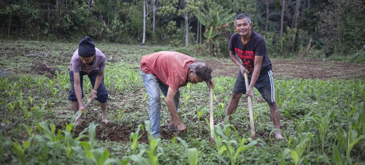 41 países necesitan ayuda alimentaria externa por conflictos y crisis climáticas
